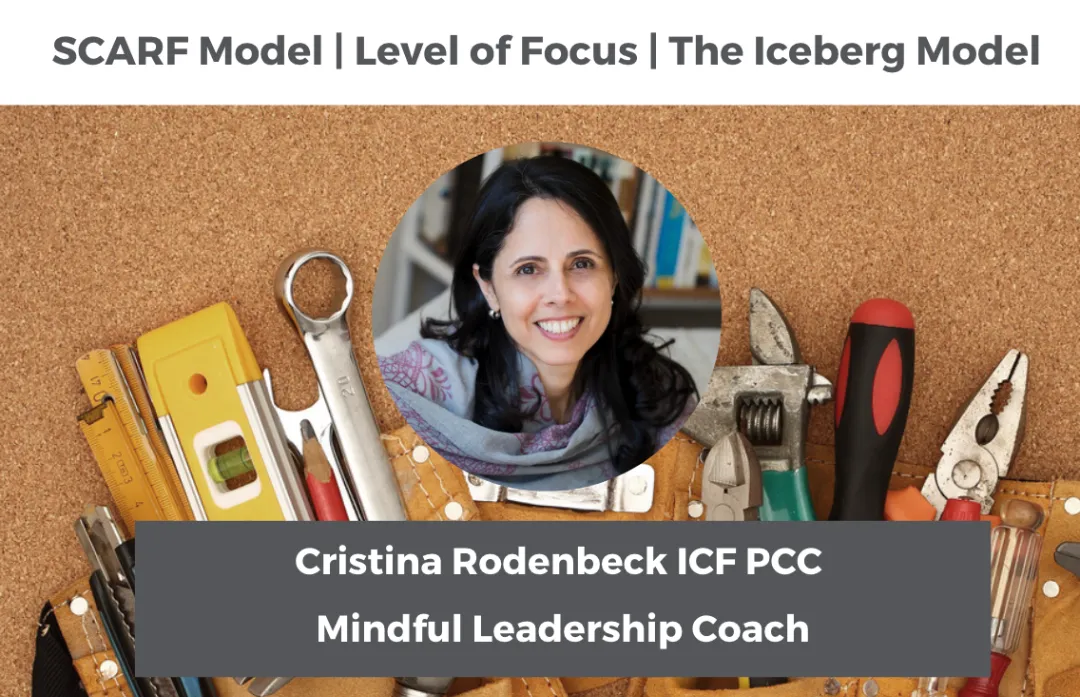 Elevate Your Coaching Practice with Our Coach’s Tool Box Series!